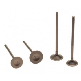 Valve kit ZONGSHEN DT190 4T