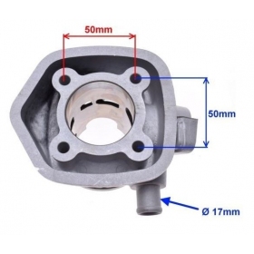 Cilindro komplektas MINARELLI HORIZONTAL LC 50cc / Ø47 / PIN Ø10 (Stūmoklis su įsiurbimo angom)