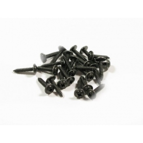 Screws Ø 5,5 (length 25mm) 25pcs