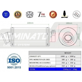 Exhausts silincers Dominator GP1 DUCATI MONSTER 620 2002-2006