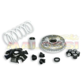 Variatoriaus kompl. MALOSSI Maxi ​​​​​​​Suzuki Burgman / Epicuro / Sixteen 125-150cc 4T