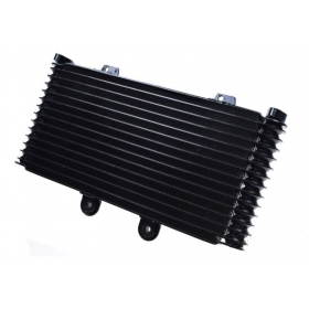 Oil radiator SUZUKI GSF1200 Bandit 00-05