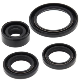 Winderosa (vertex) set (set) of engine seals Honda TRX 90 06-21