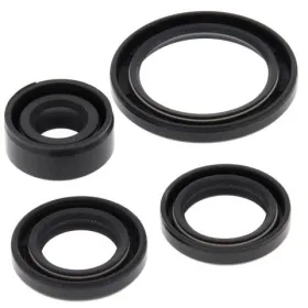 Winderosa (vertex) set (set) of engine seals Honda TRX 90 06-21