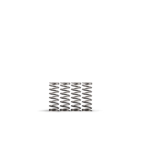 HINSON Clutch Springs Box of 5 - Honda CRF250R