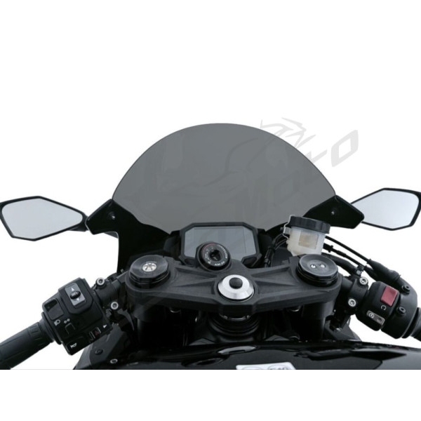 WRS Windscreen Race Dark Smoke Kawasaki ZX-6R 636cc 24->