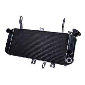 Radiator SUZUKI SV650 05-12