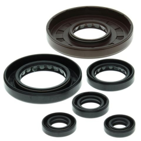 Winderosa (vertex) set (set) of engine seals Honda TRX 450 98-04