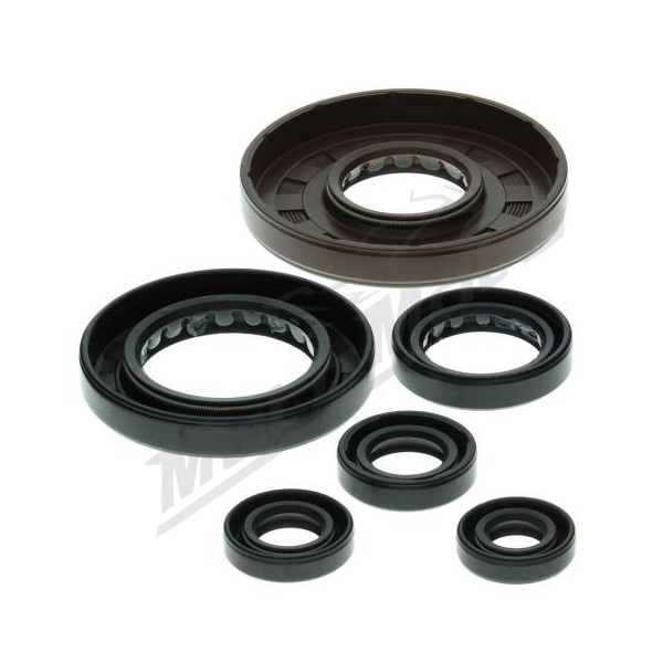 Winderosa (vertex) set (set) of engine seals Honda TRX 450 98-04