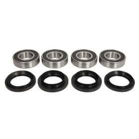 PIVOT WORKS Rear wheel bearing set and seal kit Yamaha Rhino 450-700cc 05-13