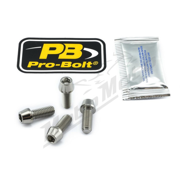PRO BOLT Titanium Clip-On / Handle Bar Mount Bolt Kit Kawasaki EX 300cc 13-17