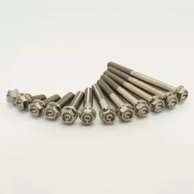 SCAR Engine Screw Kit Titanium 48 Screws Honda 250 22-24