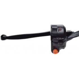 Universal handlebar switch with mirror mounting