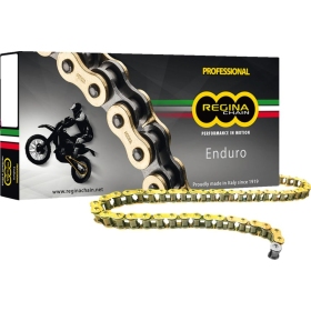 REGINA 520 ZSE Drive Chain 114 Links 