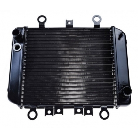 Radiator KAWASAKI ER5 96-06