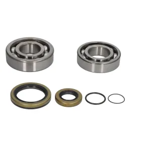 ALL BALLS Alkūninio veleno guolių kompl. ​​​​​​​Gas Gas EC / Enduro / MC / XC 200-300 08-20