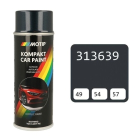 MOTIP Coloured paint 313639 400ml