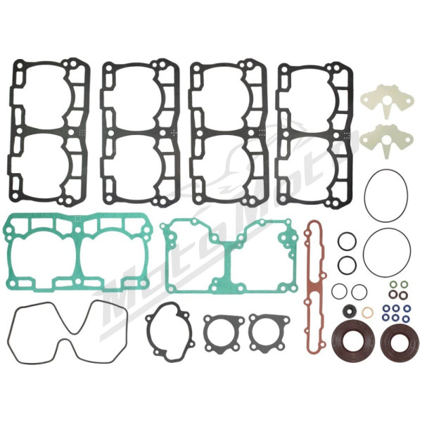 Spi gasket set with engine seals Lynx / Ski-Doo 850 17-20