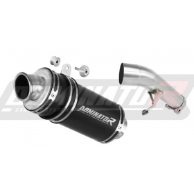 Exhaust silencer Dominator GP1 BLACK SUZUKI GSX 1250 FA 2010-2016