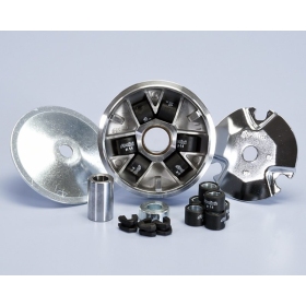 POLINI Hi-Speed Variator Vespino ALX Delta Vespa 50cc 85-90