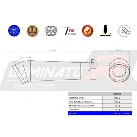 Exhaust kit Dominator GP 2 APRILIA Tuono V4 R APRC  2011-2014