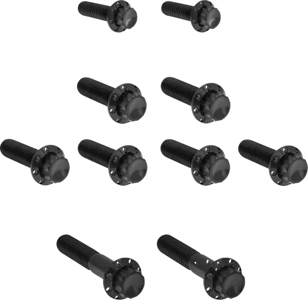 ARLEN NESS Transmission Side Cover & Trap Door Titanium 12-Point Bolt Kit 12pcs. M8