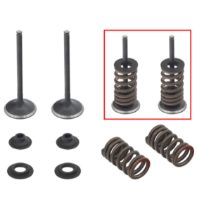 Psychic 2024/03 exhaust valves (valve set with springs and washers) HONDA CRF 450 R 07-08