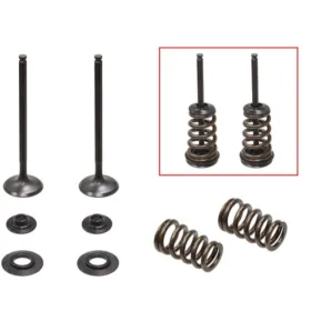Psychic 2024/05 exhaust valves (valve set with springs and washers) KTM SX-F / EXC-F 250cc 05-07