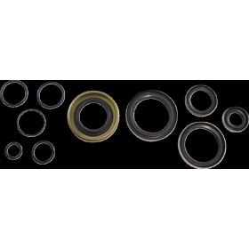 VINTCO Oil Seal Kit Kawasaki KX 250cc 79-80