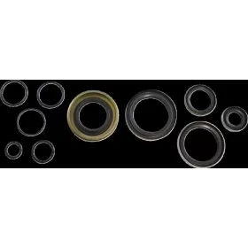 VINTCO Oil Seal Kit Kawasaki KX 250cc 79-80