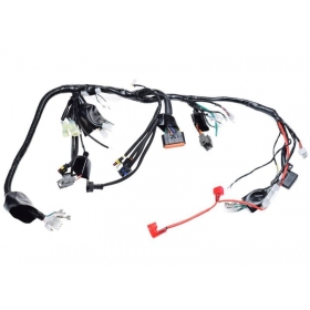 Wiring harness JUNAK 904 EURO4