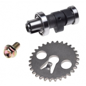 Camshaft with sprocket SYM ORBIT 4T