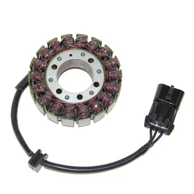 ELECTROSPORT Stator Victory V 1500 99-01