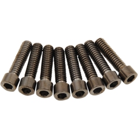 DRAG SPECIALTIES M-Eight Bolt Kit M8 8pcs. Harley Davidson FLDE / FLFB / FLFBS / FLHC / FLHCS 1750-1923cc 17-24
