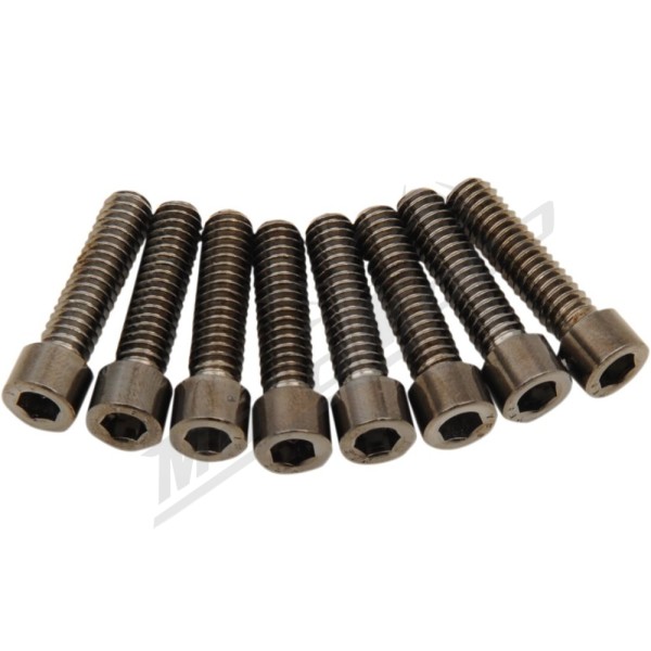 DRAG SPECIALTIES M-Eight Bolt Kit M8 8pcs. Harley Davidson FLDE / FLFB / FLFBS / FLHC / FLHCS 1750-1923cc 17-24