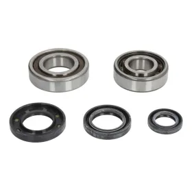 Athena Crankshaft Bearing & Oil Seal Kit Suzuki AY 50 01-04