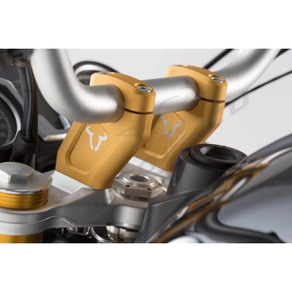 SW-MOTECH Bar Back 30mm BMW R Nine T 14-20