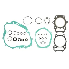 Winderosa Variklio tarpinių kompl. Suzuki DR 350 90-99