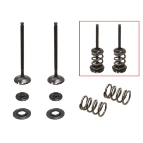 Psychic 2024/03 exhaust valves (valve set with springs and washers) Husaberg / KTM 250cc 08-14