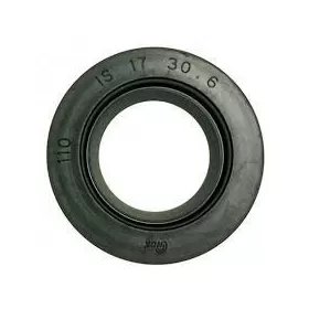 Oil seal MaxTuned 17x30x6