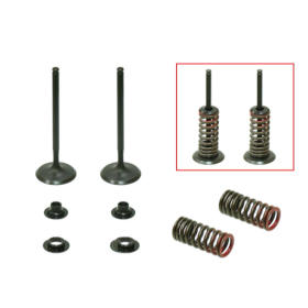 Psychic intake valves set HONDA CRF 250 R 10-15