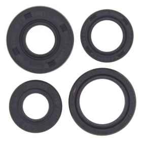 Winderosa (vertex) set of engine seals Honda ATC / TRX 250-300 85-00