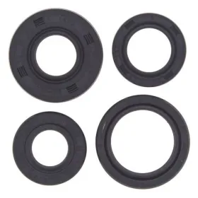 Winderosa (vertex) set of engine seals Honda ATC / TRX 250-300 85-00
