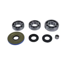 ALL BALLS Priekinio reduktoriaus remonto kompl. Can Am Defender 800-1000 2016