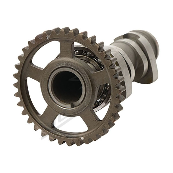 Hot Cams paskirstymo velenas Honda CRF 450 R 10-16