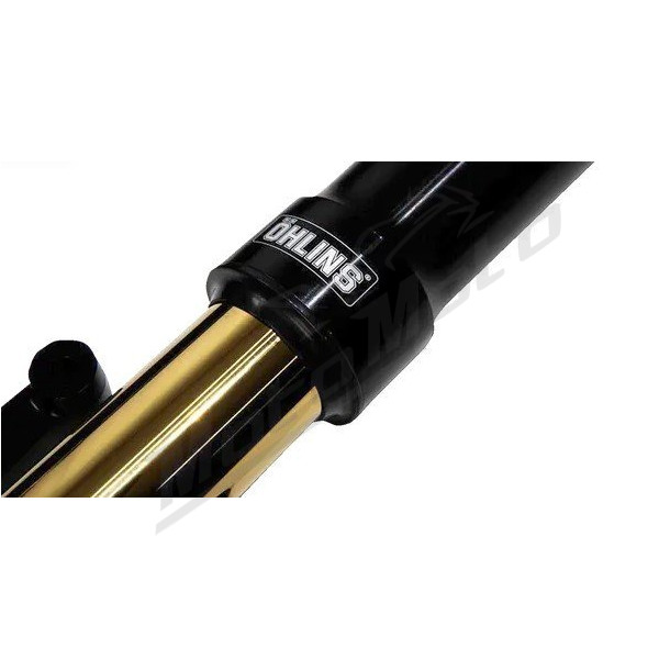 OHLINS Blackline NIX 30 FGRT 307 OLD Front Forks Harley Davidson FLHXSE / FLTRKSE / FLTRXSTSE 1923-1977cc 23-24
