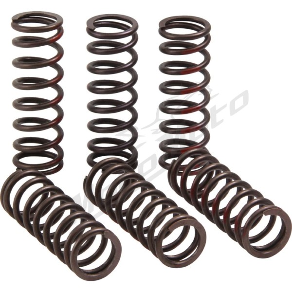 PRO CIRCUIT Clutch Spring Set Honda CRF 450 21-24