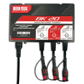 BS BATTERY SMART Bank Battery Charger and Maintainer with Reconditioning Function 12V 3X2A