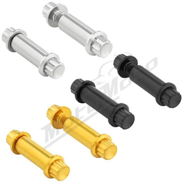ARLEN NESS Foot Peg Titanium 12-Point Bolt Kit