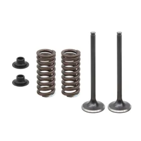 Psychic exhaust valves set HONDA CRF 250 R 16-17